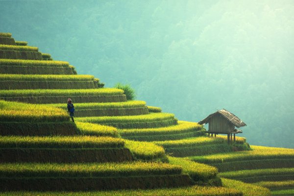 agriculture 1807581 1920
