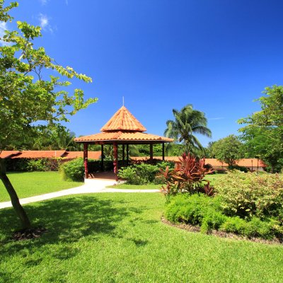 Garden View 1